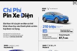 Pin xe điện có giá bao nhiêu?