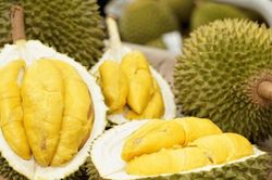Giá sầu riêng hôm nay 23/9: Bình Phước ghi nhận mức 105.000 đồng/kg, sầu Thái VIP xuất khẩu lên đến 120.000 đồng/kg
