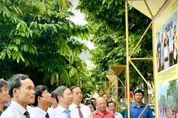 TP HCM triển lãm ảnh kỷ niệm 80 năm Ngày Nam bộ kháng chiến