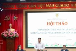 Luật Đất đai còn tồn tại nhiều điểm nghẽn, bất cập