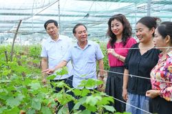 Ban Tuyên giáo và Dân vận Tỉnh ủy, Hội Nhà báo tỉnh tổ chức đoàn thực tế, xây dựng đề tài tuyên truyền về công tác xây dựng Đảng
