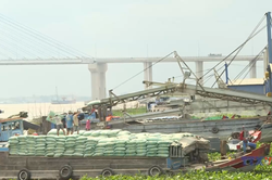 Tăng cường ổn định thị trường gạo