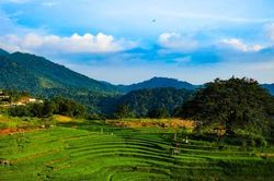 Thơ mộng bản Mừng