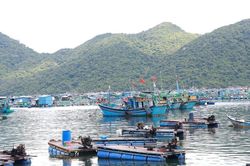 Bão số 9 cách Móng Cái khoảng 570 km về phía Đông