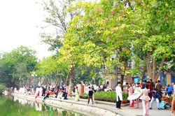 Giới trẻ rủ nhau 'chill' mùa thu Hà Nội theo cách riêng