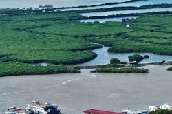 Hải Phòng cấm biển để phòng chống bão Ragasa