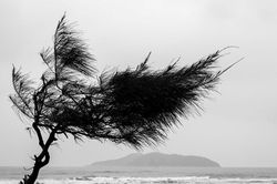 Siêu bão Ragasa sẽ gây mưa vừa đến mưa to, có nơi mưa rất to ở Nghệ An