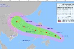 Nghệ An chủ động ứng phó với bão BUALOI gần Biển Đông
