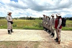 Phát hiện, tiêu hủy an toàn 24 vật liệu nổ tại phường Phong Thái