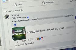 Ông Châu Việt Cường nói không liên quan fanpage quảng cáo cá độ