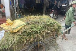 Vùng 'rốn lũ', trũng thấp Hà Nội chủ động mọi tình huống bão số 9