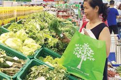 Xu hướng tiêu dùng xanh mở ra cánh cửa lớn cho nhà sản xuất