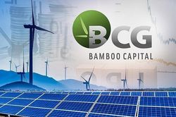 Chưa thể phát hành báo cáo tài chính, Bamboo Capital giải trình lý do