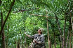 Người dân trồng đào Nhật Tân căng mình bảo vệ vườn trước những ảnh hưởng từ 2 cơn bão liên tiếp