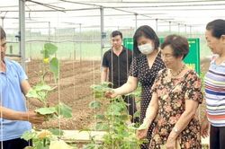 Ngoài miễn thuế thu nhập, cần thêm cơ chế thúc đẩy vai trò nhà khoa học nữ