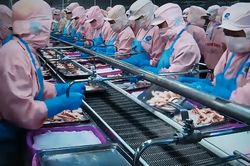 Xuất khẩu tôm sang EU tăng tốc: Cơ hội từ FTA và yêu cầu giải pháp dài hạn