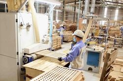 Mỹ áp thuế 50% một mặt hàng xuất khẩu 14 tỷ USD tại Việt Nam