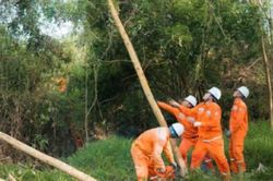 Công ty Điện lực Nghệ An khẩn trương triển khai các phương án ứng phó bão số 10