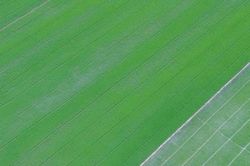Ấn tượng quán cà phê 'Hai Ơi' giữa cánh đồng lúa