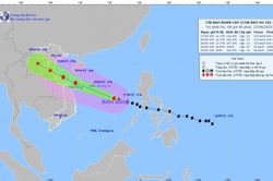 Bão Bualoi tăng cấp, cách Hoàng Sa 480 km