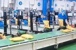 Xuất khẩu gạo cần giải pháp cấp bách