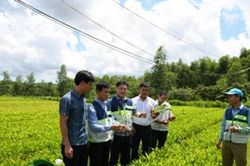 Đăng ký Quỹ hợp tác xã địa phương: 1 bộ hồ sơ, hoàn tất trong 3 ngày làm việc