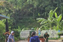 Thanh - Nghệ - Tĩnh, Quảng Trị cho học sinh nghỉ học tránh bão Bualoi
