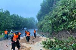 Bão số 10 gây thiệt hại nặng, Bộ Công Thương chỉ đạo khẩn trương khôi phục hệ thống điện