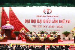 Thông qua Nghị quyết Đại hội đại biểu Đảng bộ tỉnh Sơn La lần thứ XVI, nhiệm kỳ 2025 - 2030
