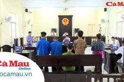 Tăng cường hoạt động trợ giúp pháp lý cho người từ 16 đến dưới 18 tuổi