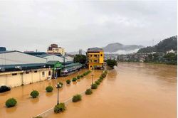 Lũ đặc biệt lớn trên sông Thao, Bộ Xây dựng thông báo khẩn