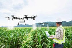 EU đẩy nhanh số hóa nông nghiệp