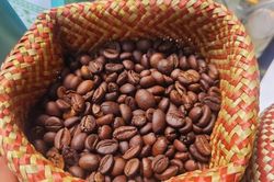 Dự báo giá cà phê ngày mai 1/10: Giảm sâu 1.000 đồng/kg trước thềm vụ mới
