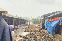 Nhiều trang trại Nghệ An ngập sâu, hàng trăm nghìn con gà bị chết