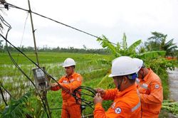 Gần 60% khách hàng ở Nghệ An đã được cấp điện trở lại