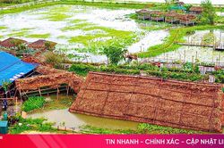 Hà Nội hỗ trợ Hà Tĩnh 15 tỷ đồng khắc phục hậu quả bão số 10