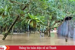 Khu du lịch suối cá Cẩm Lương ngập sâu trong nước