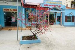Quỹ tín dụng nhân dân Thụy Sơn thông báo về việc thay đổi nội dung hoạt động