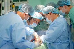 Thêm ca ghép tim thành công từ người cho chết não