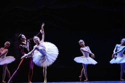 HBSO ra mắt vở ballet 'Hồ thiên nga' phiên bản đầy đủ