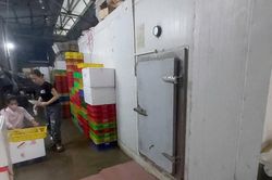 Hải sản cấp đông giảm chất lượng vì mất điện dài ngày