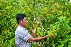 Khánh Hưng phát huy sức mạnh đại đoàn kết, lan tỏa những mô hình hay