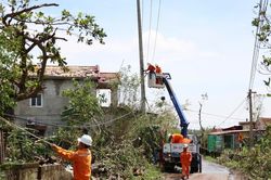 EVN và các đơn vị thành viên nỗ lực khắc phục hậu quả cơn bão số 10
