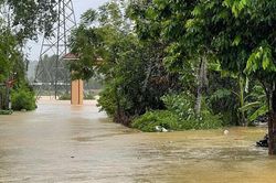 51 người chết, 14 người mất tích sau bão số 10