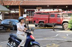 Dùng VNeID thay giấy phép lái xe giấy, phí sát hạch không đổi