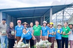 Người dân chung tay 'giải cứu' nông sản sau bão, lũ