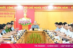 Chủ động phương án ứng phó hiệu quả với bão số 11