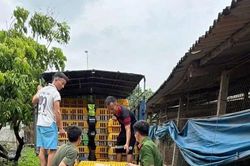 Khẩn trương khắc phục hậu quả bão số 10 và mưa lũ sau bão