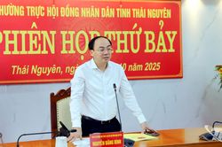 Thường trực HĐND tỉnh: Bàn giải pháp thực hiện công tác bầu cử và giám sát giải quyết kiến nghị của cử tri