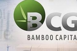 Cổ phiếu BCG và TCD bị đình chỉ giao dịch, động thái Bamboo Capital thế nào?